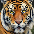 Majestic Tiger Portrait - Digital Art Print
